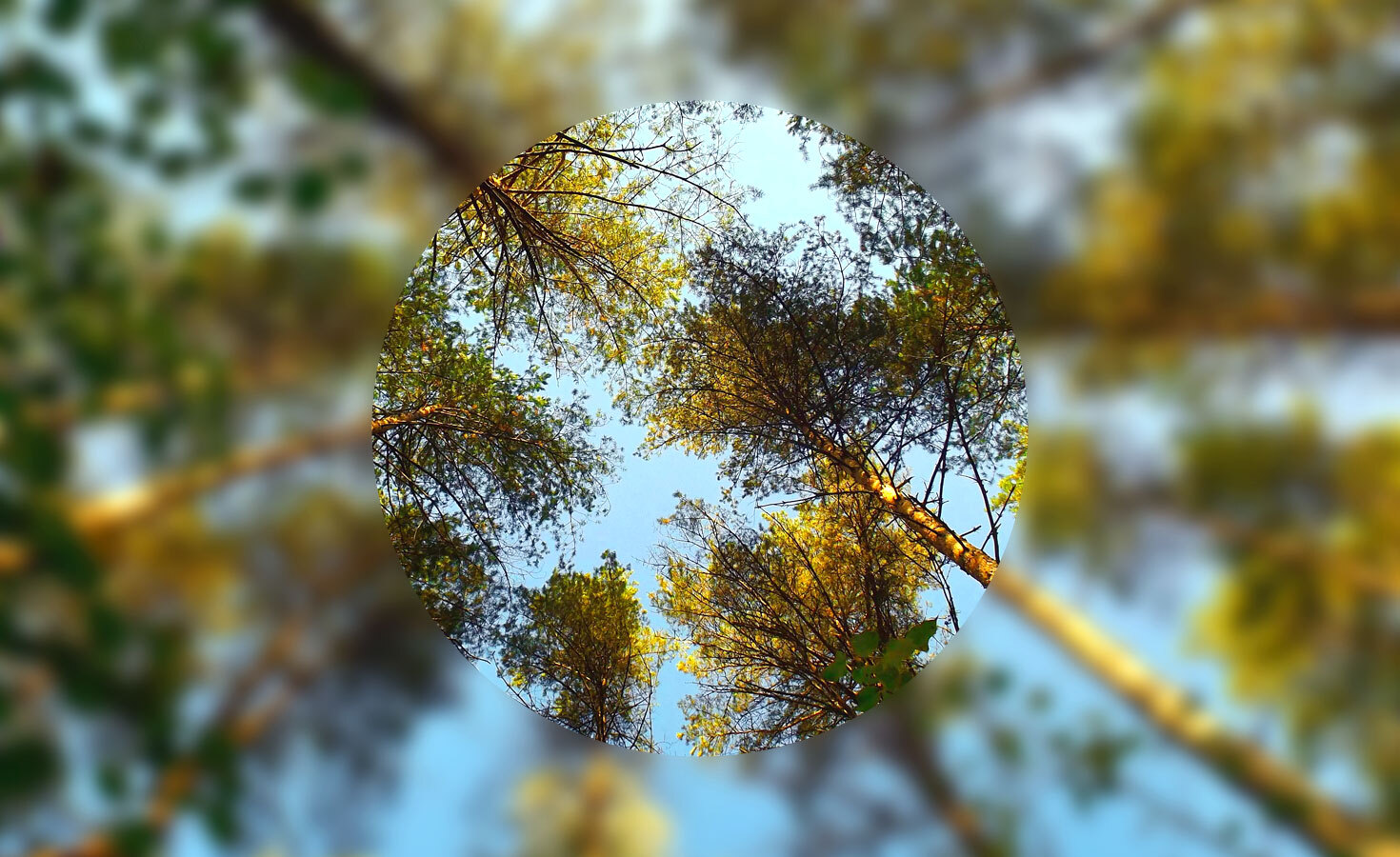 is-sustainability-consulting-right-for-you?-ask-yourself-these-7-questions