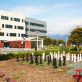 google-holds-to-ambitious-2030-net-zero-goal-despite-another-big-emissions-hike