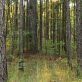 mckinsey,-google-and-others-make-$41-million-credit-purchase-from-louisiana-carbon-removal-project
