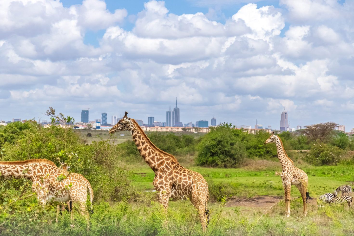 why-kenya-is-setting-the-bar-for-climate-investing-in-africa