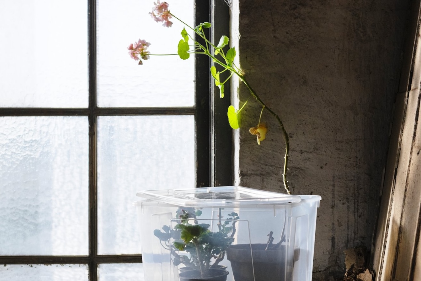 ikea’s-biggest-retailer-funds-chinese-food-packaging-recycler