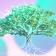 google-cso-kate-brandt-on-adding-‘heart’-to-climate-communications