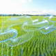 why-mars-plans-to-more-than-triple-the-amount-of-renewable-energy-it-buys