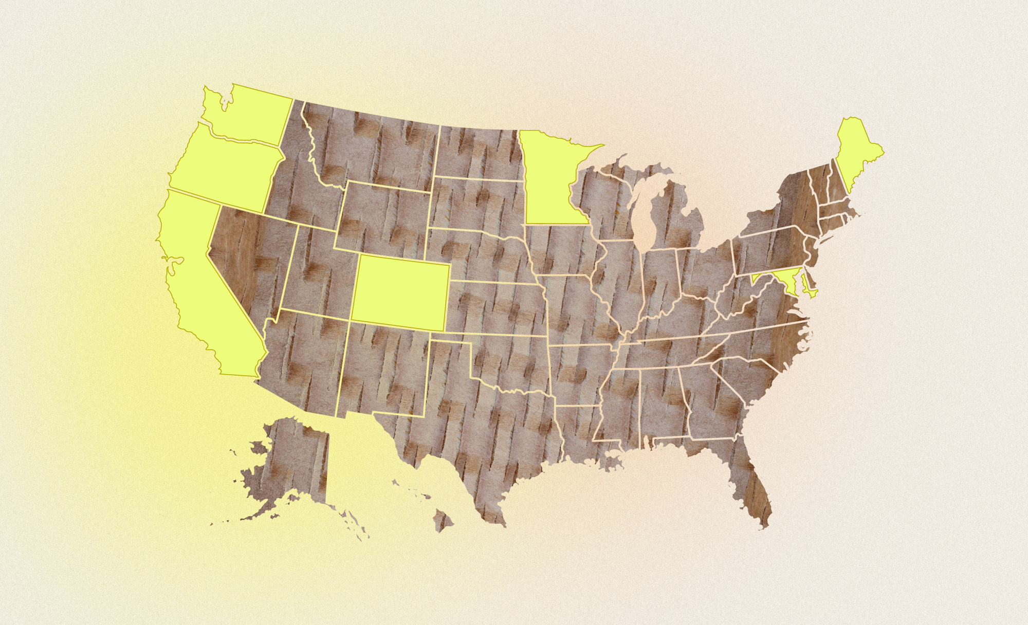 7-states-changing-the-stakes-for-packaging-across-the-us.