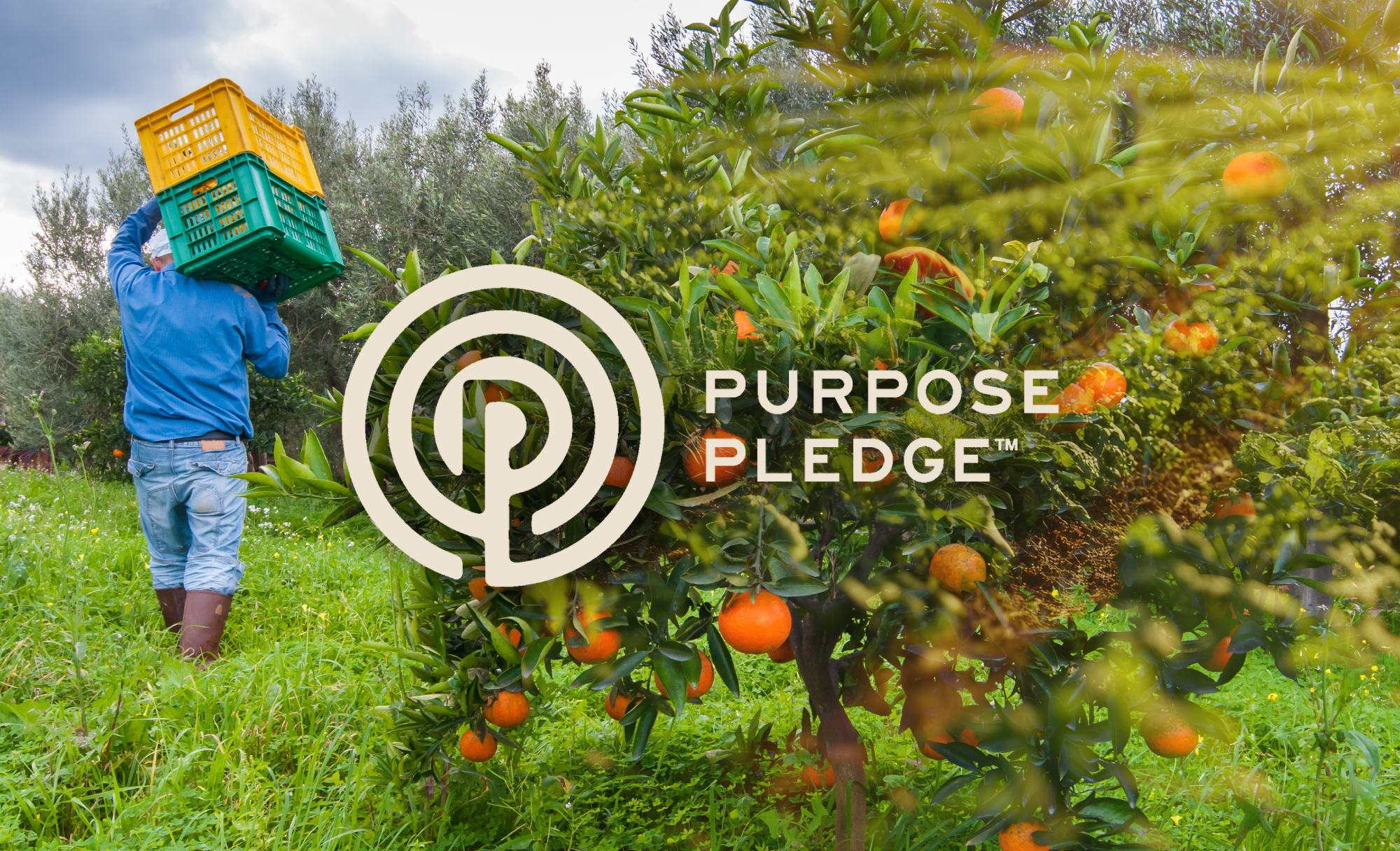 inside-dr.-bronner’s-new-community-for-redefining-corporate-‘purpose’