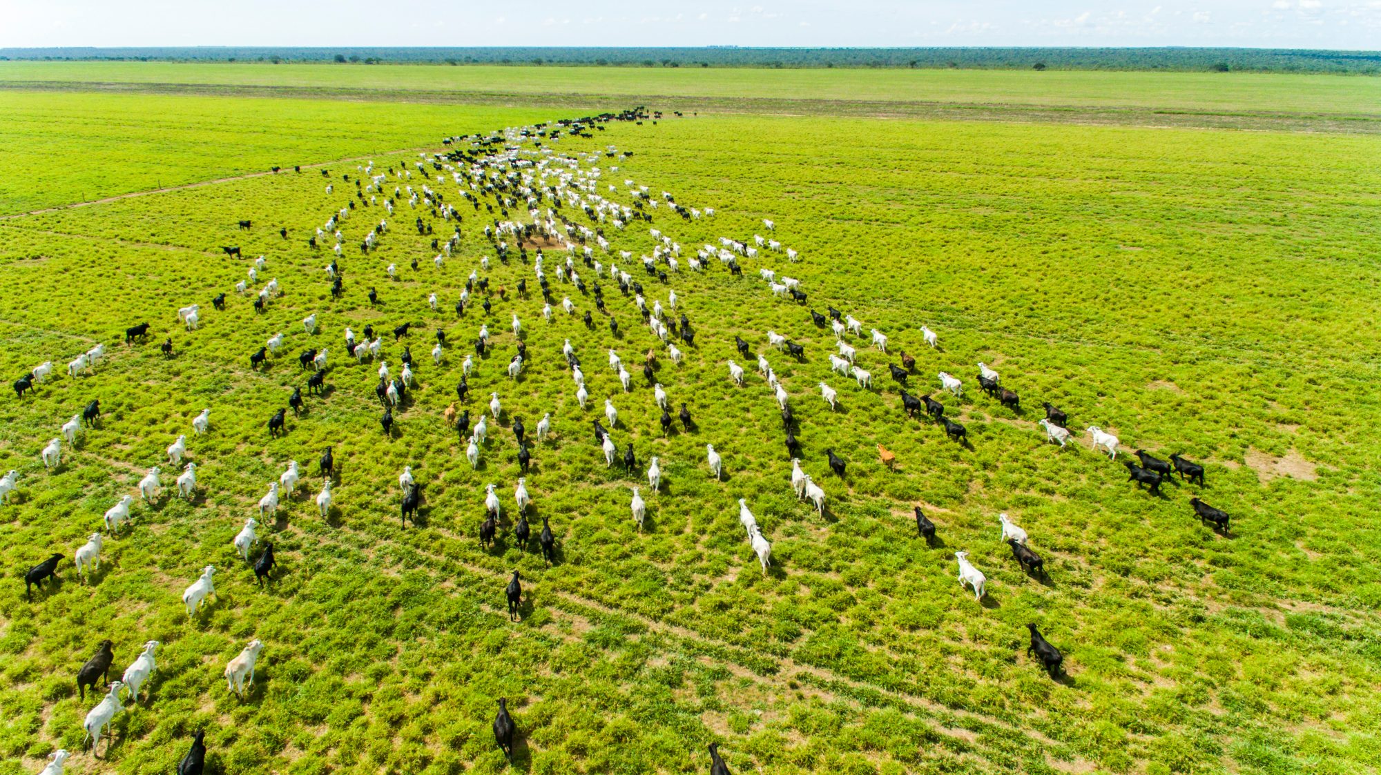 jbs-pledged-to-be-net-zero-by-2040.-it’s-far-off-track