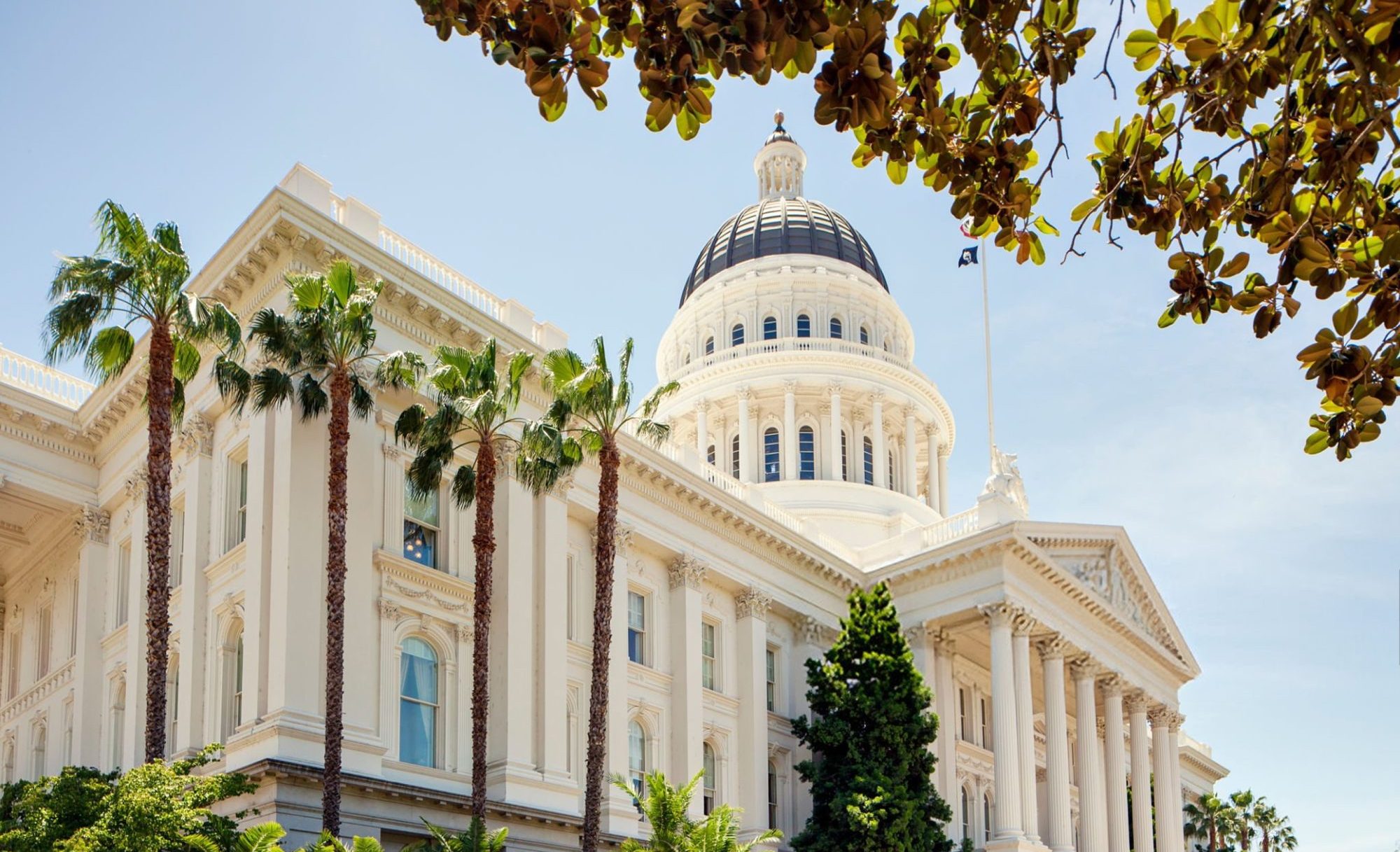 what-to-know-about-california’s-looming-new-disclosure-deadlines