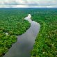 don’t-exclude-nature-from-carbon-credit-rules,-a-group-of-experts-tell-the-sbti