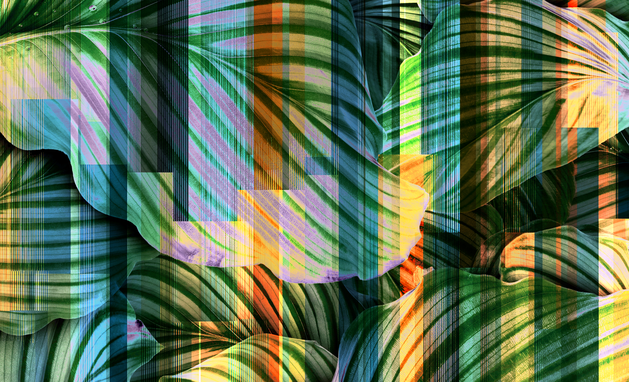 what-you-should-know-about-the-partnership-that’s-unifying-carbon-accounting-standards
