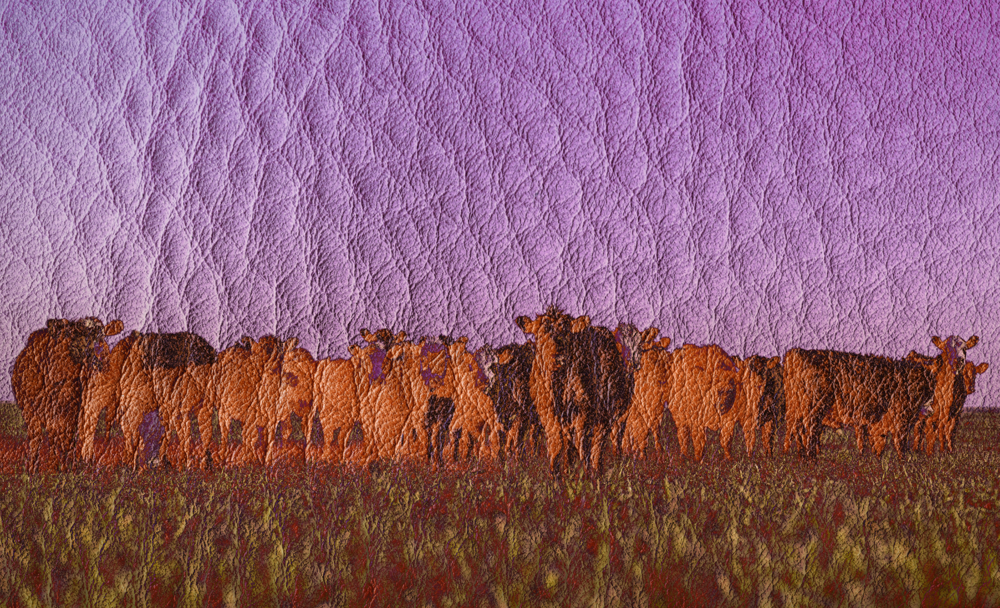blame-leather,-cashmere-and-wool-for-most-methane-in-fashion,-report-says