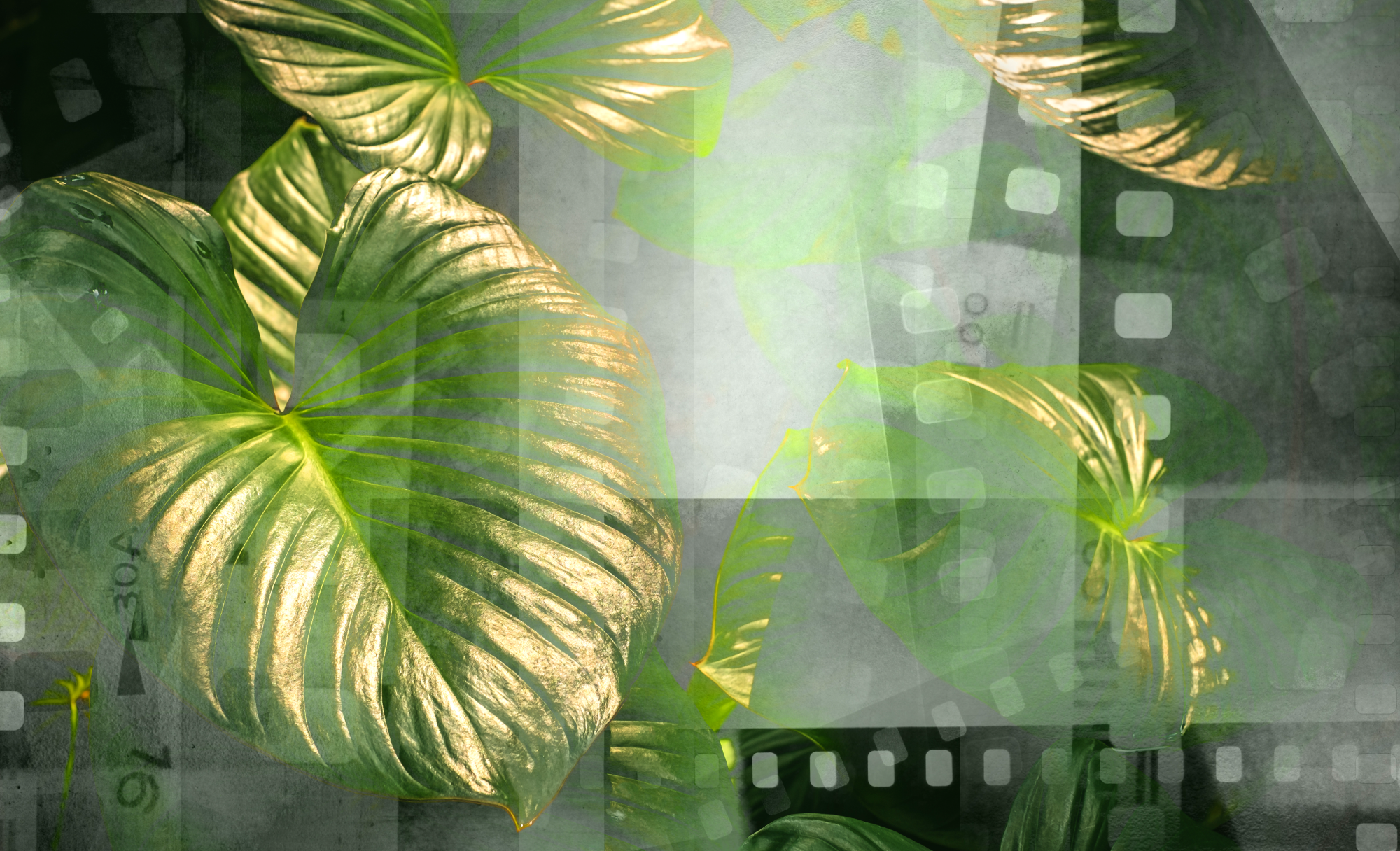 6-(short)-videos-to-help-sustainability-pros-take-their-careers-to-the-next-level