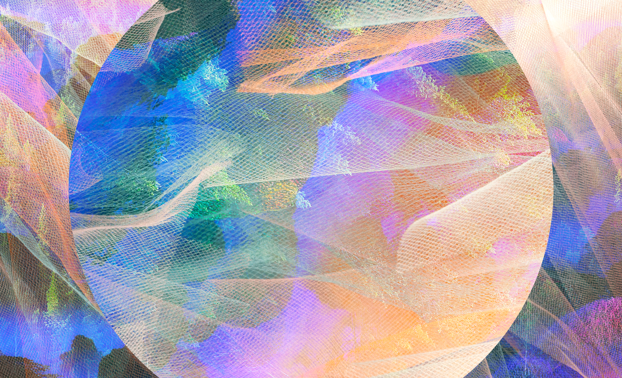 fiber-giants-are-advancing-forest-friendly-materials,-hot-button-report-finds