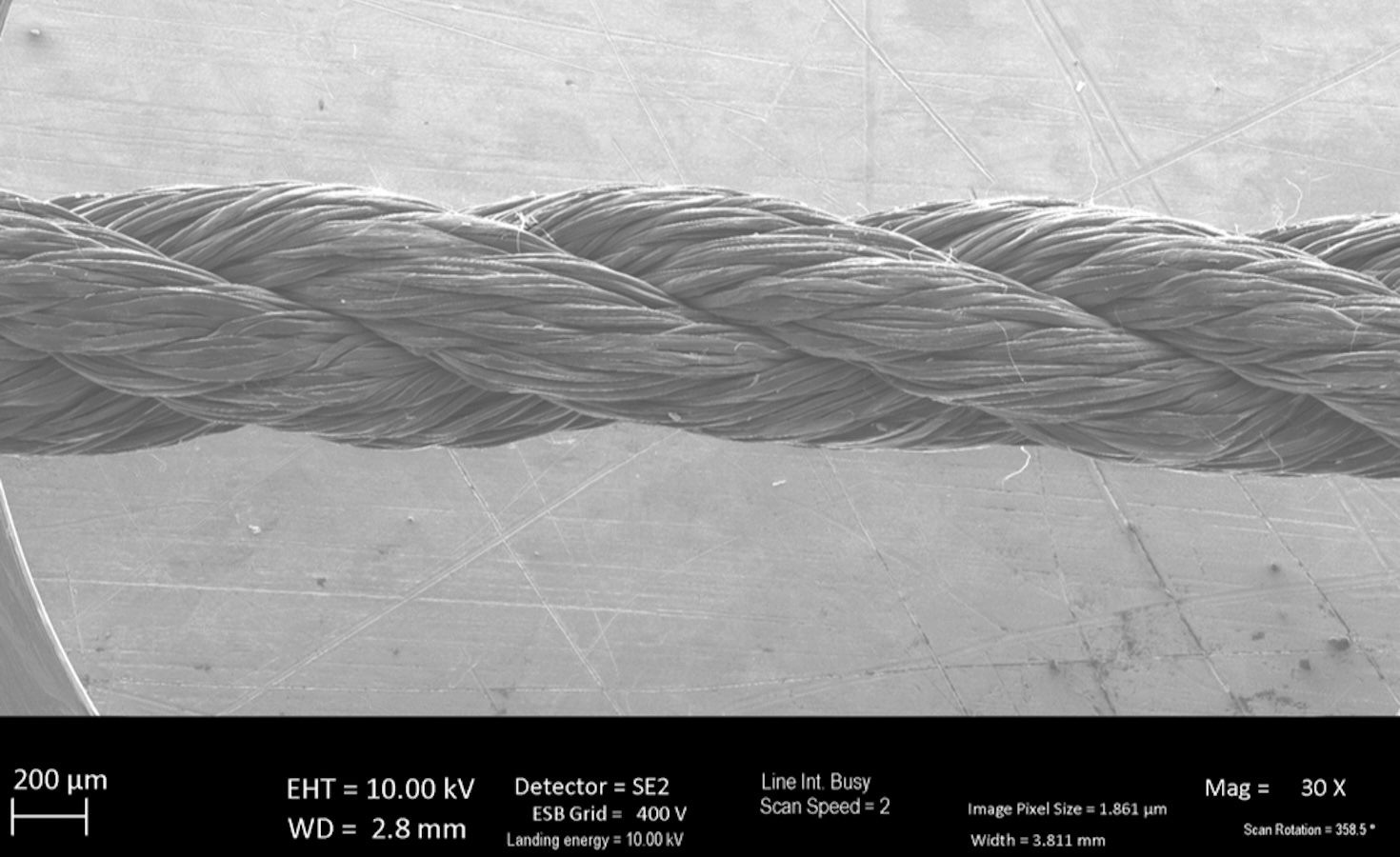 the-trellis-climate-tech-startup-of-2025