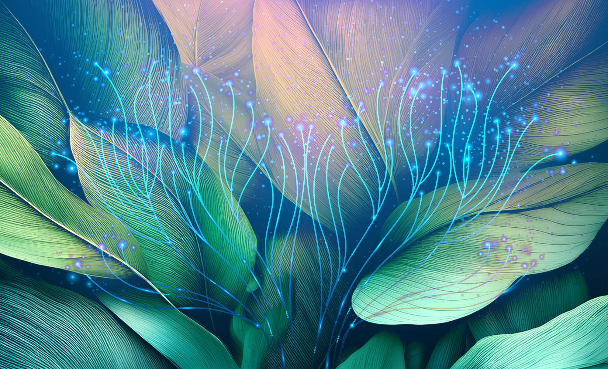 decarbonization-demands-pragmatism,-not-purity