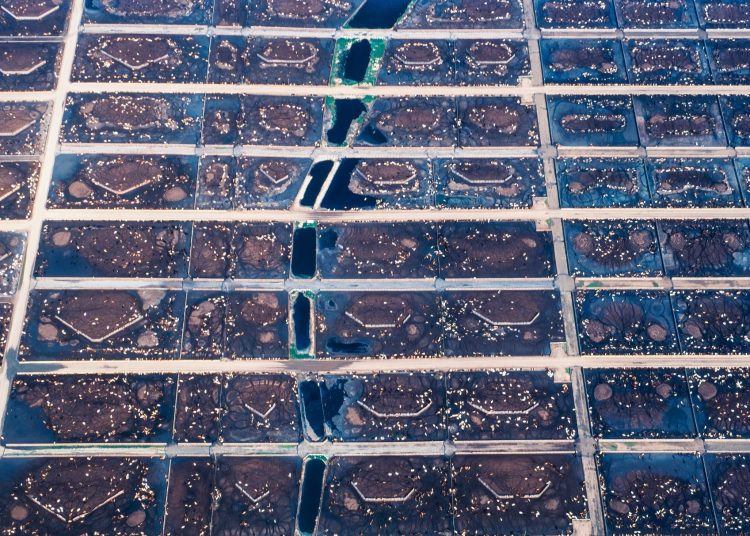 why-xprize-is-targeting-methane-mitigation-for-its-next-climate-competition