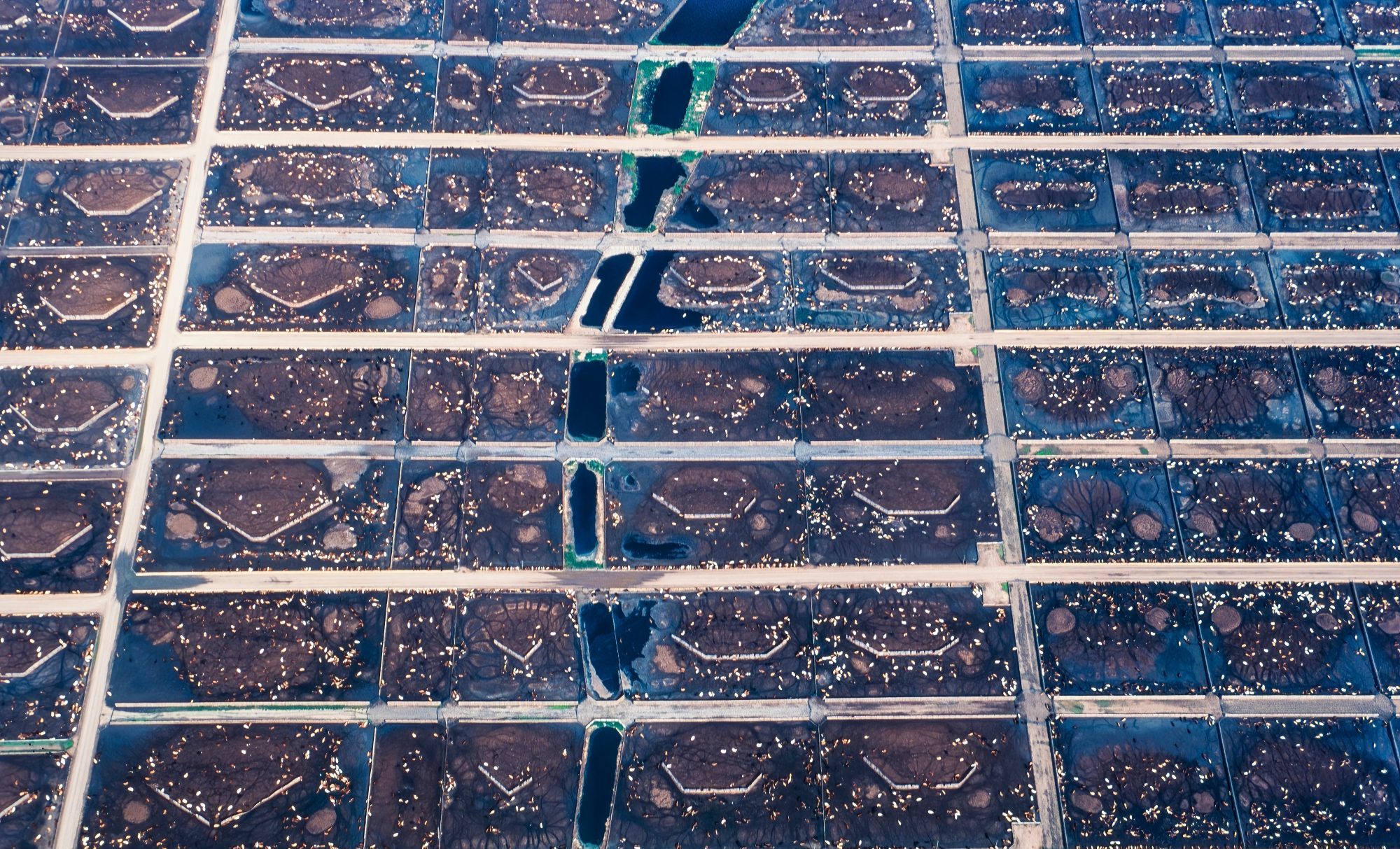 why-xprize-is-targeting-methane-mitigation-for-its-next-climate-competition