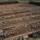 tyson,-jbs-cases-mark-new-level-of-scrutiny-of-corporate-greenwashing