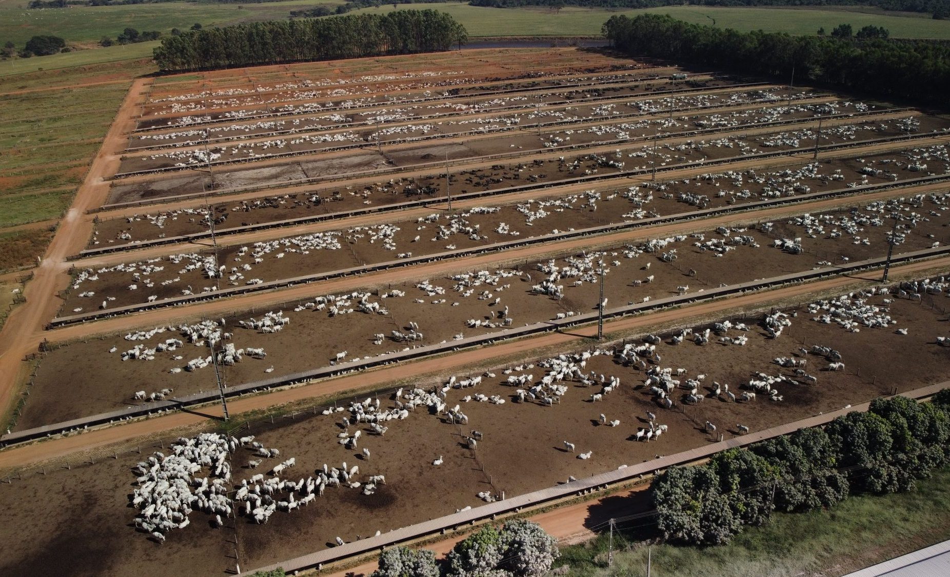 tyson,-jbs-cases-mark-new-level-of-scrutiny-of-corporate-greenwashing