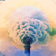 behind-the-growing-fascination-with-emissions-intensity