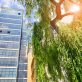 real-estate-decarbonization-is-moving-to-the-building-level