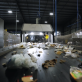 how-an-ai-powered-waste-system-generates-biochar-carbon-credits  