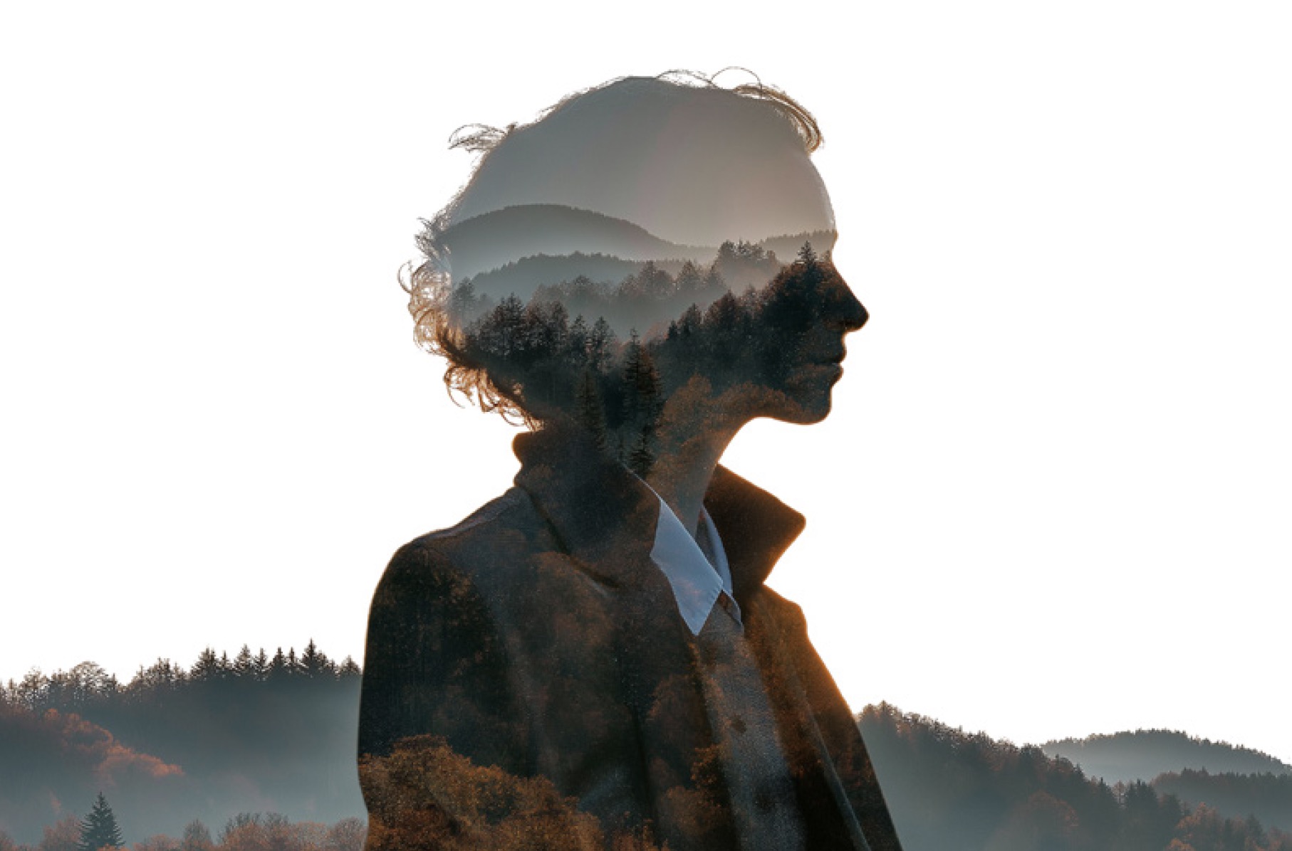 the-unsustainable-world-of-sustainability-thought-leadership