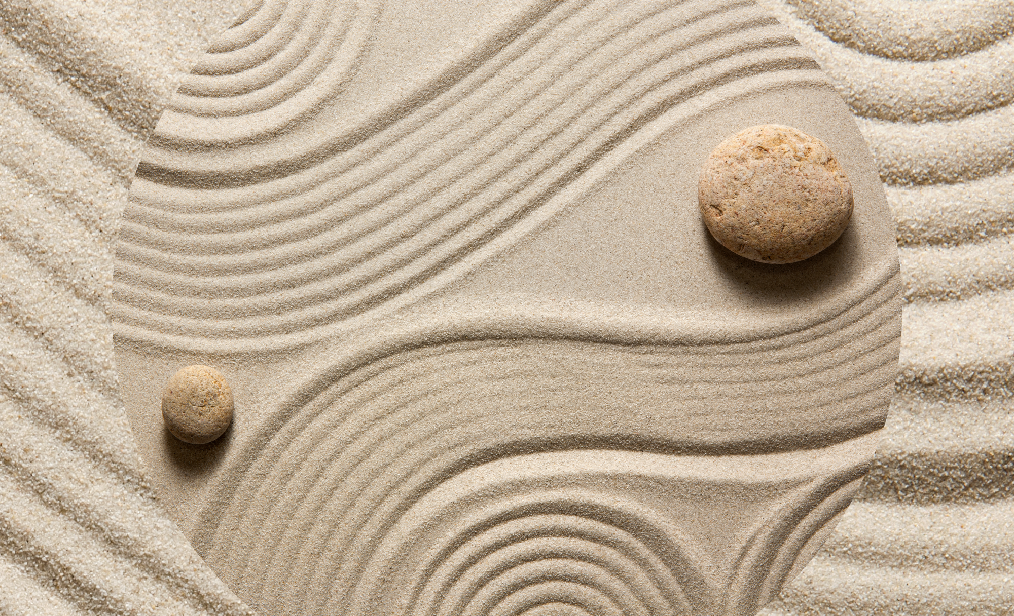 grace-under-pressure:-what-will-define-sustainability-in-2026