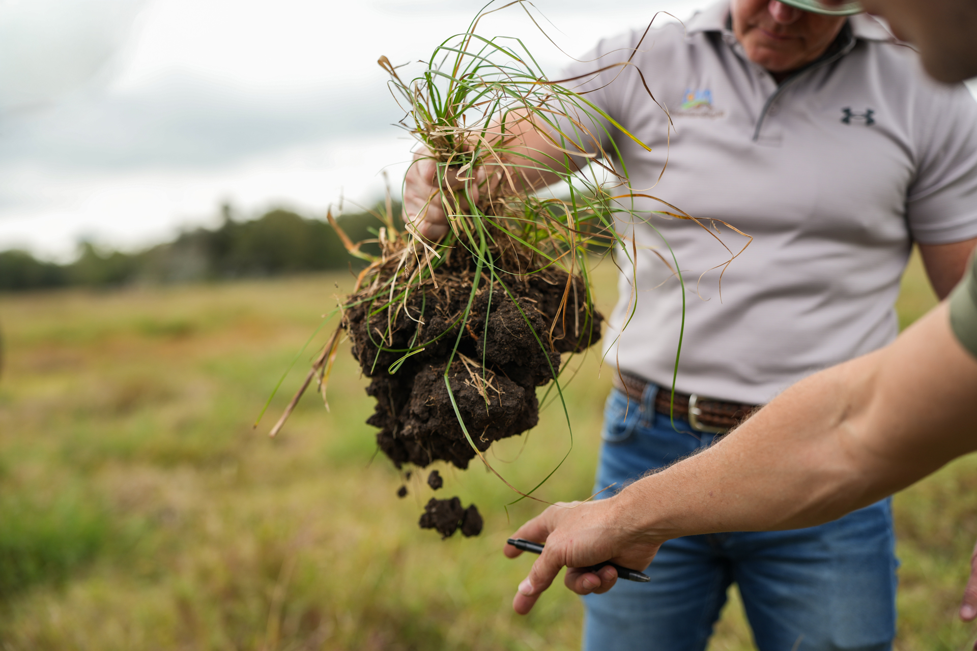 ‘regenerative-ranching’-startup-reaches-1.9m-tons-of-removed-carbon