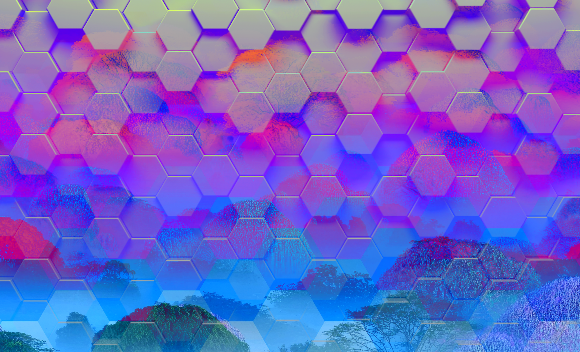 how-companies-can-lessen-legal-risk-in-carbon-markets