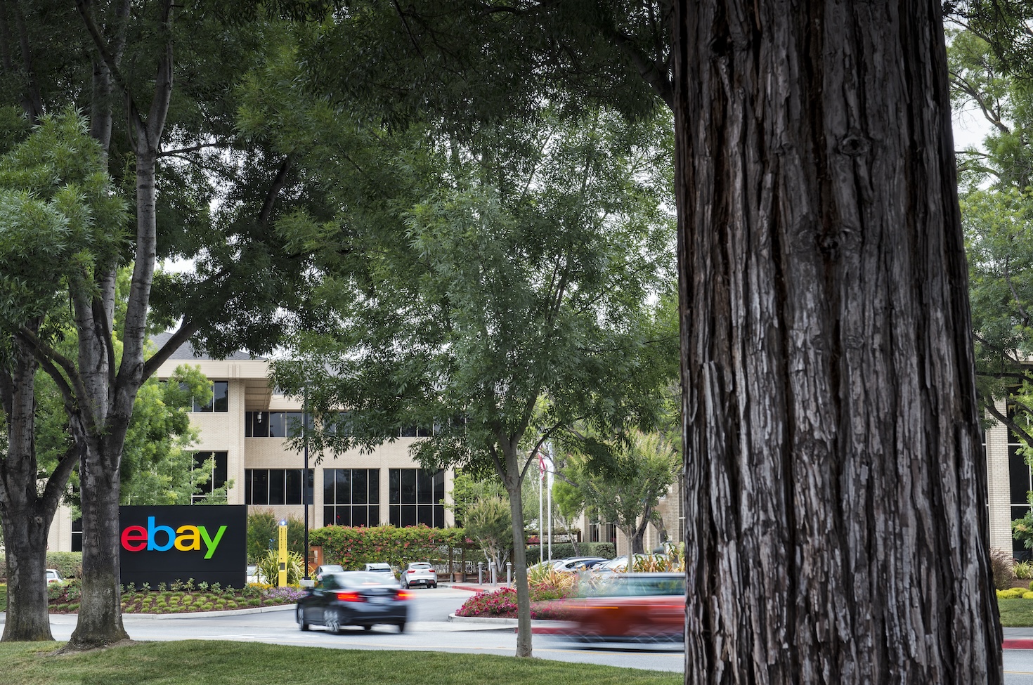 why-dhl,-fedex-and-ups-are-central-to-ebay’s-climate-transition-plan