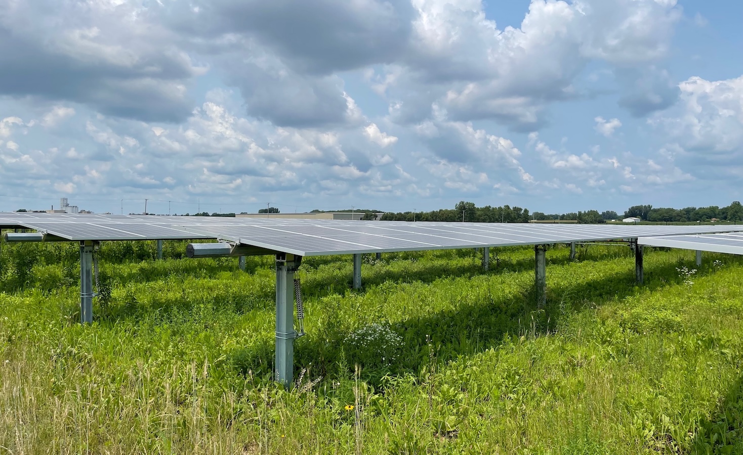 why-the-parent-company-of-coach-and-kate-spade-is-investing-in-community-solar-in-illinois