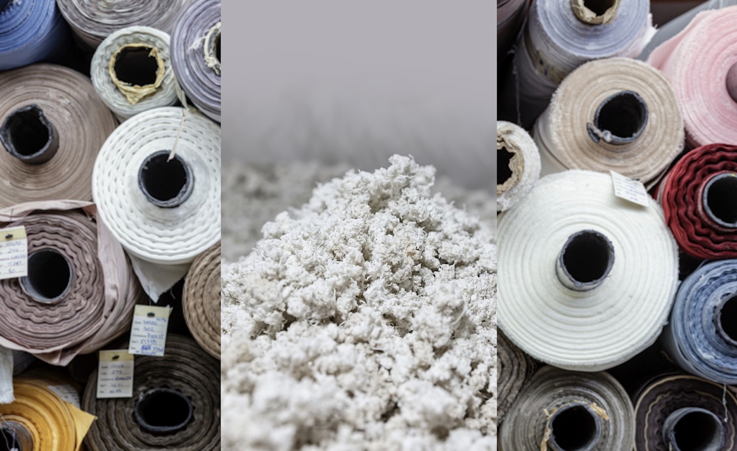 canopy-calls-for-$2-billion-to-advance-low-carbon-packaging-and-textiles