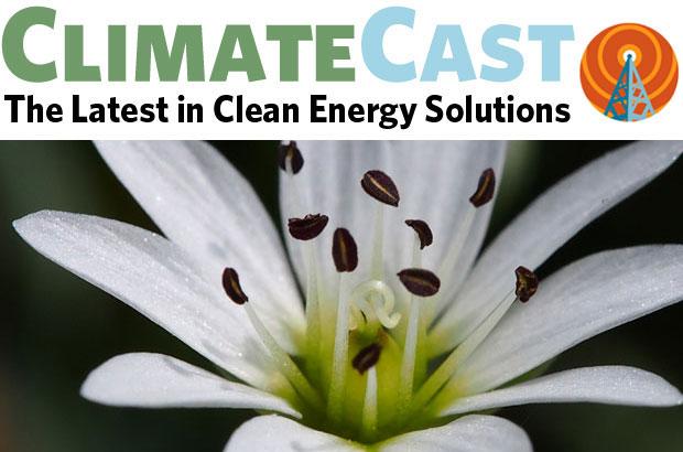 push-and-pull-on-clean-energy