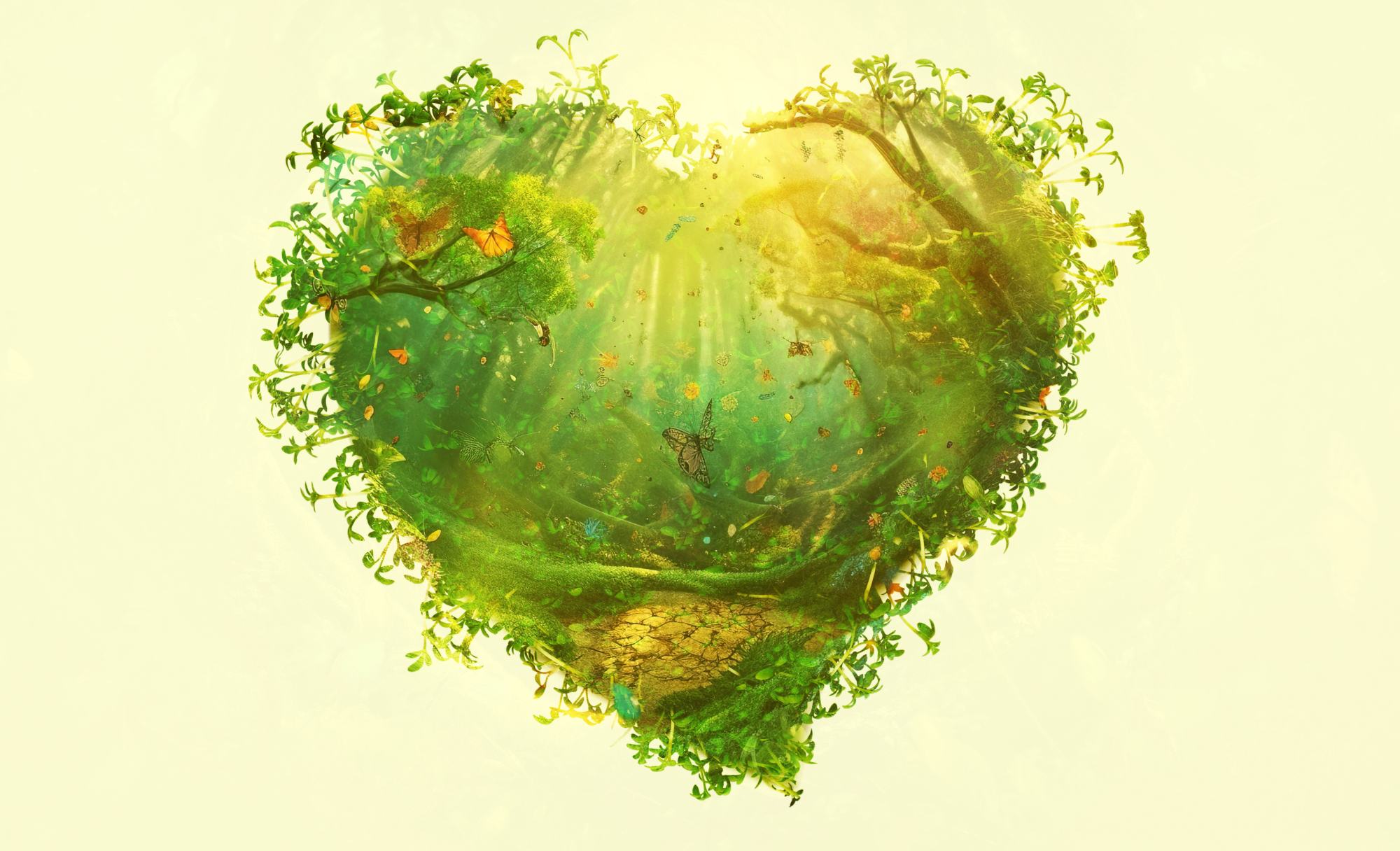 to-get-consumers-to-engage-on-sustainability,-focus-on-health
