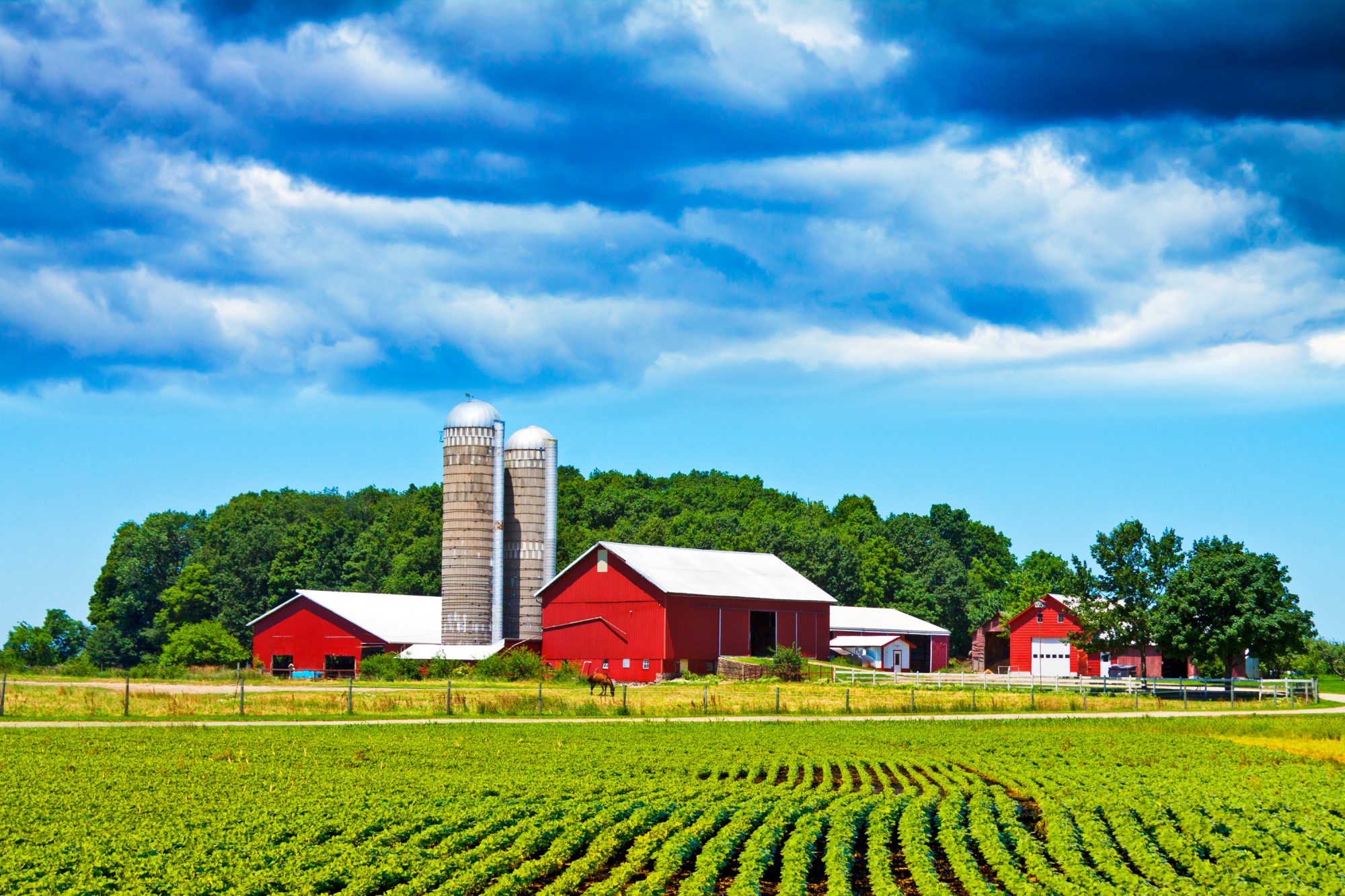 how-the-new-land-sector-carbon-accounting-rules-will-impact-your-company