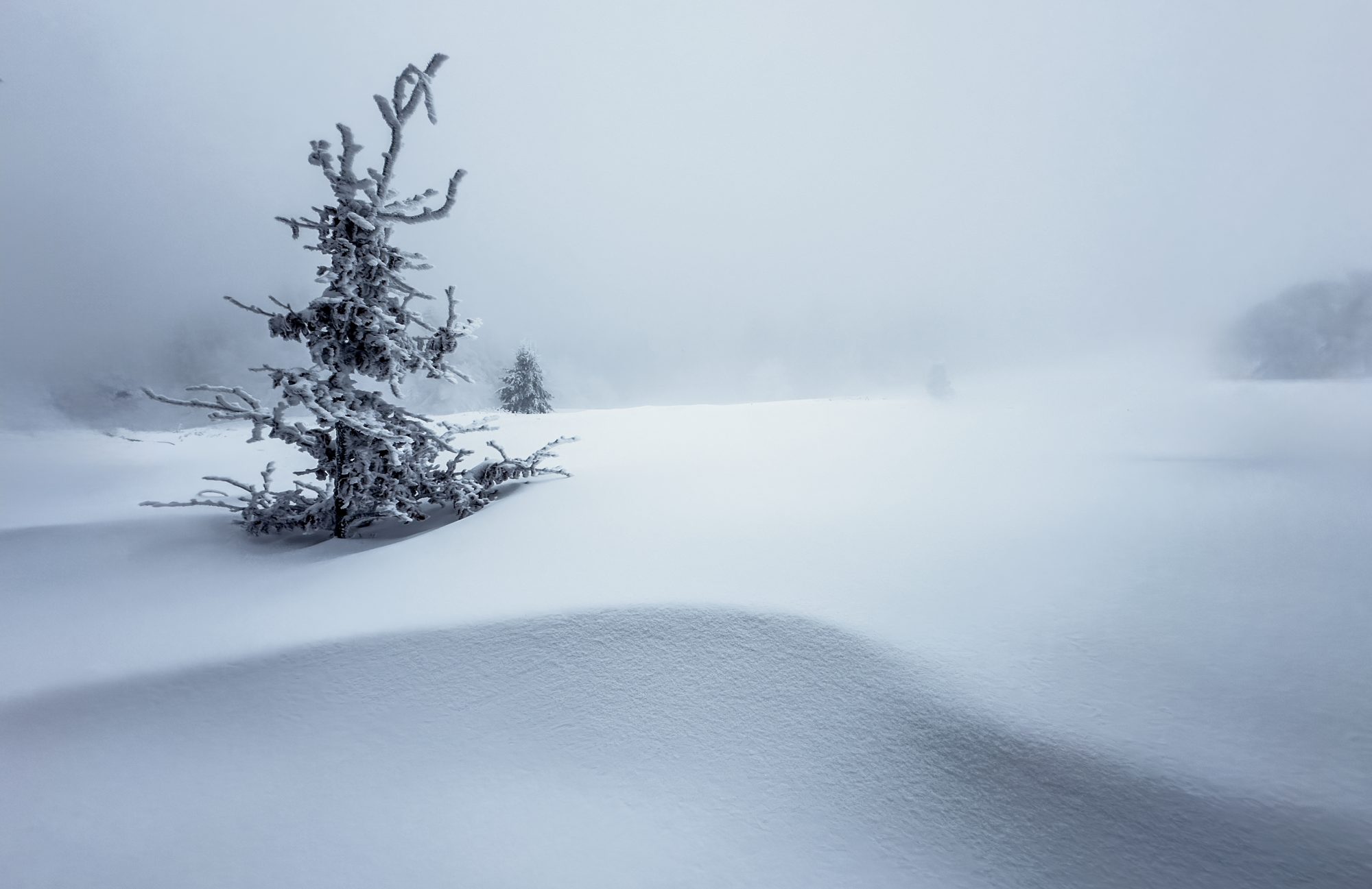 the-biggest-climate-risk-right-now-isn’t-denial.-it’s-silence