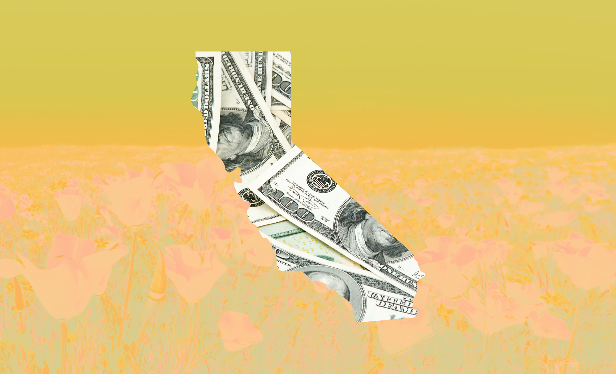 what-companies-should-know-about-california’s-new-climate-disclosure-laws