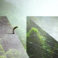a-detente-is-needed-between-the-nature-and-tech-communities.-here’s-why