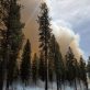 states-must-stand-up-to-trump’s-reckless-deregulation