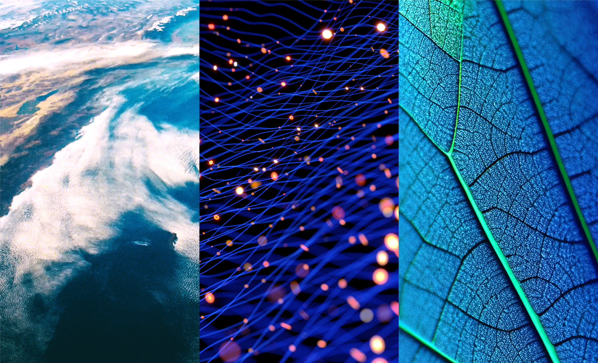 what’s-next:-key-climate-and-nature-standards-in-2026