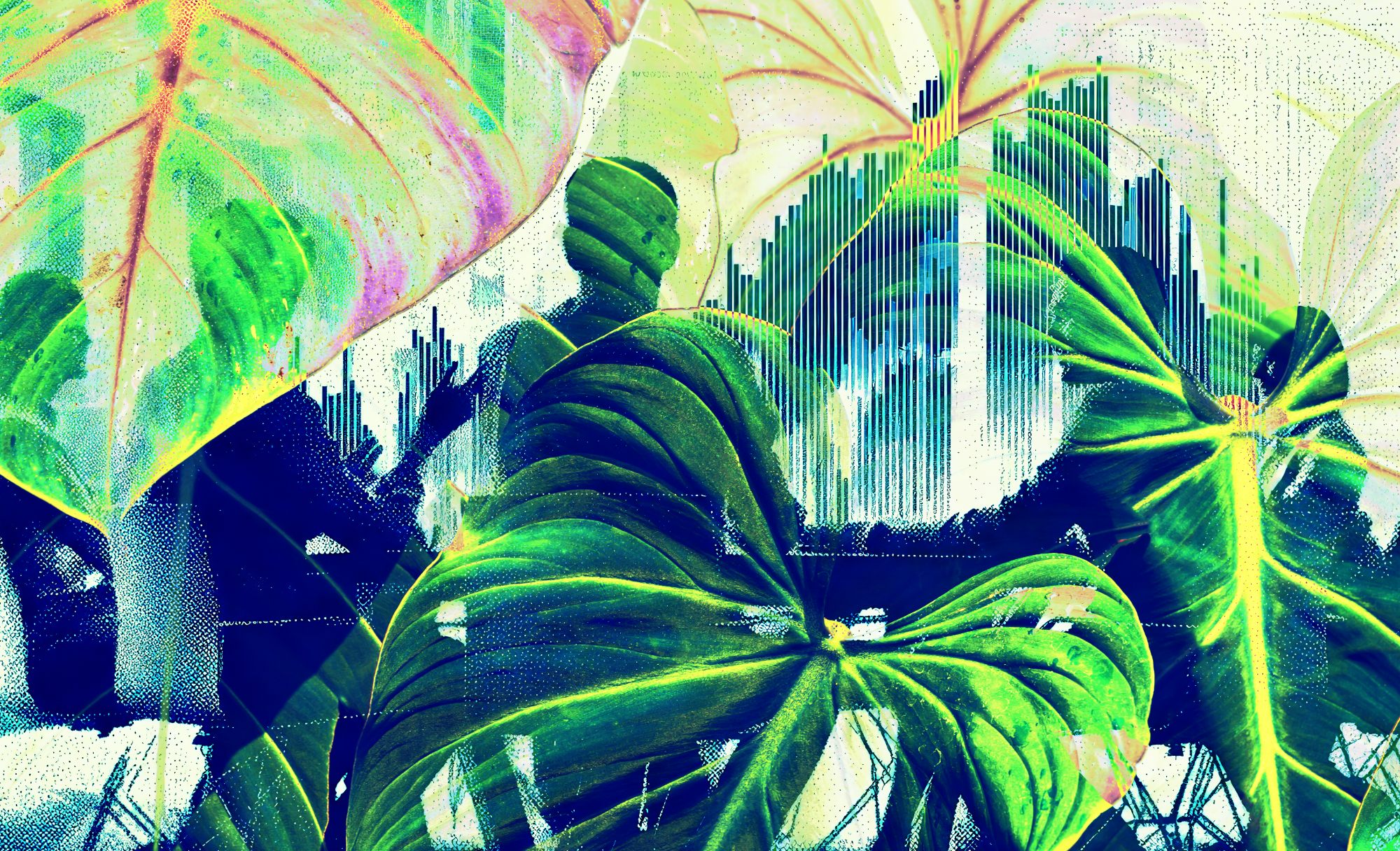 why-corporate-investors-should-look-to-domestic-companies-for-dividends 