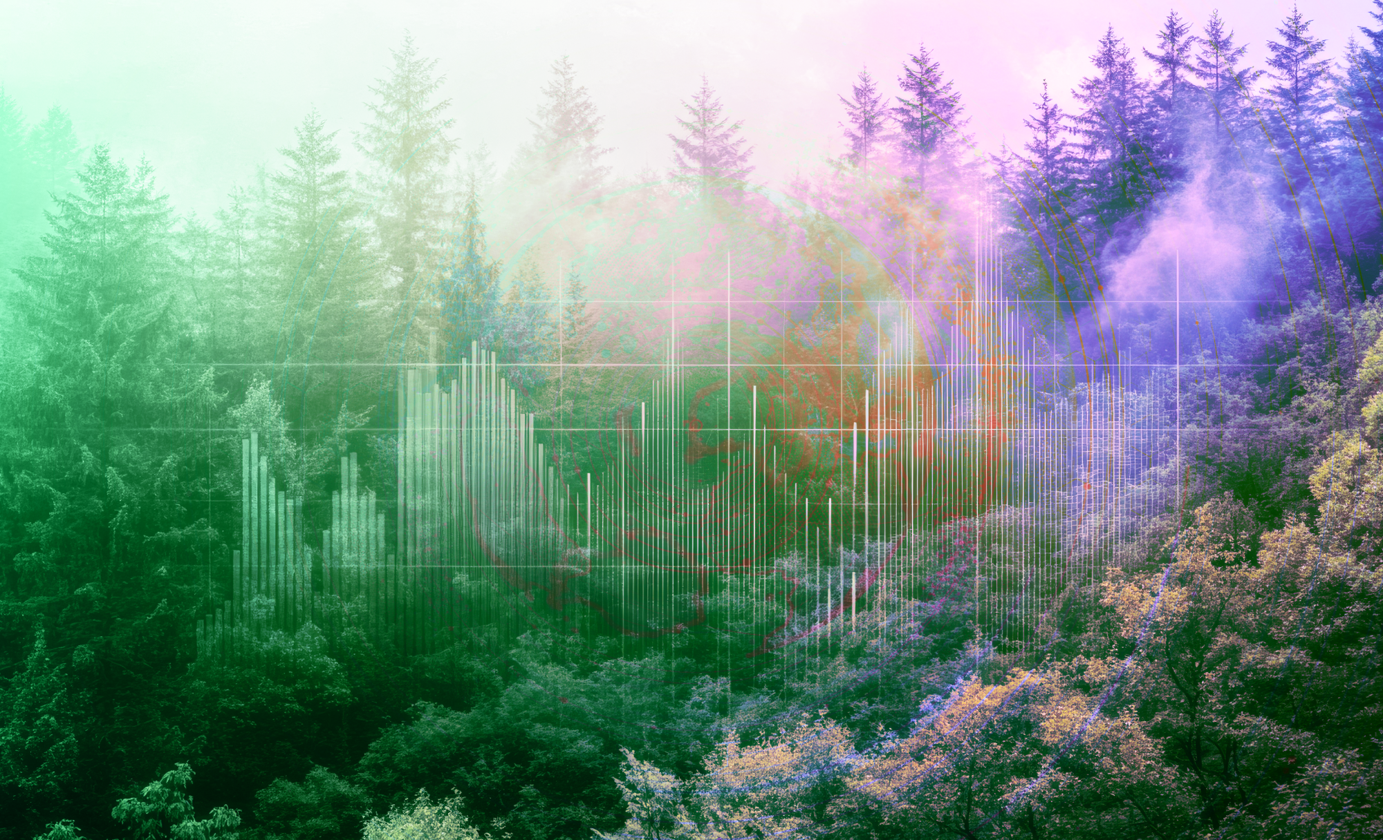 greenwashing-risk-is-widespread,-survey-of-3,500-companies-finds