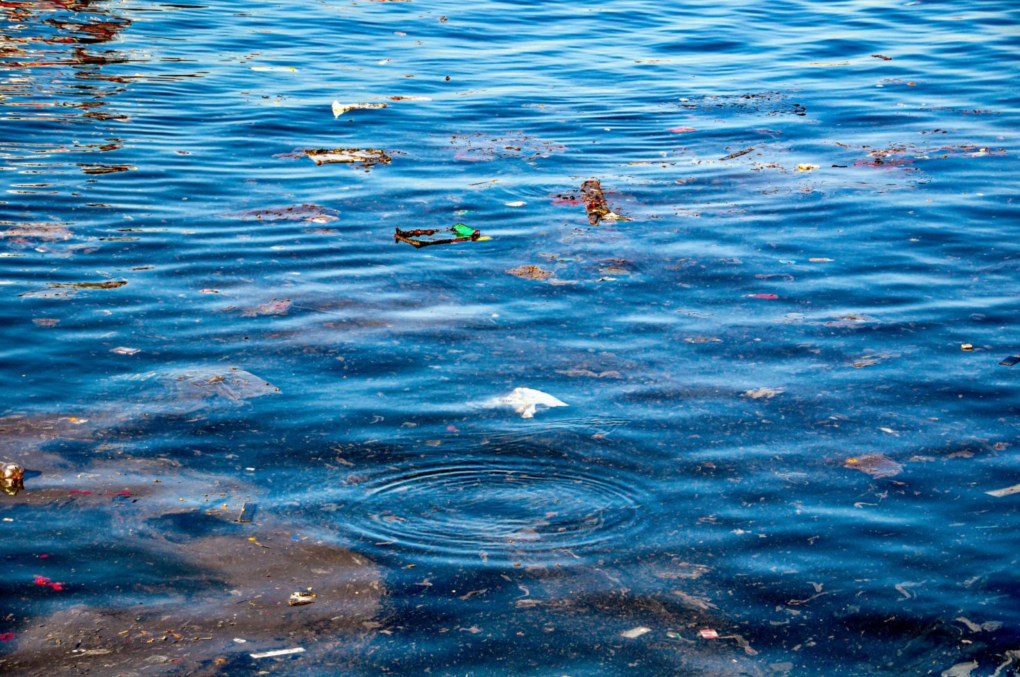 consumers-expect-companies-to-advocate-for-stronger-water-protection-policies