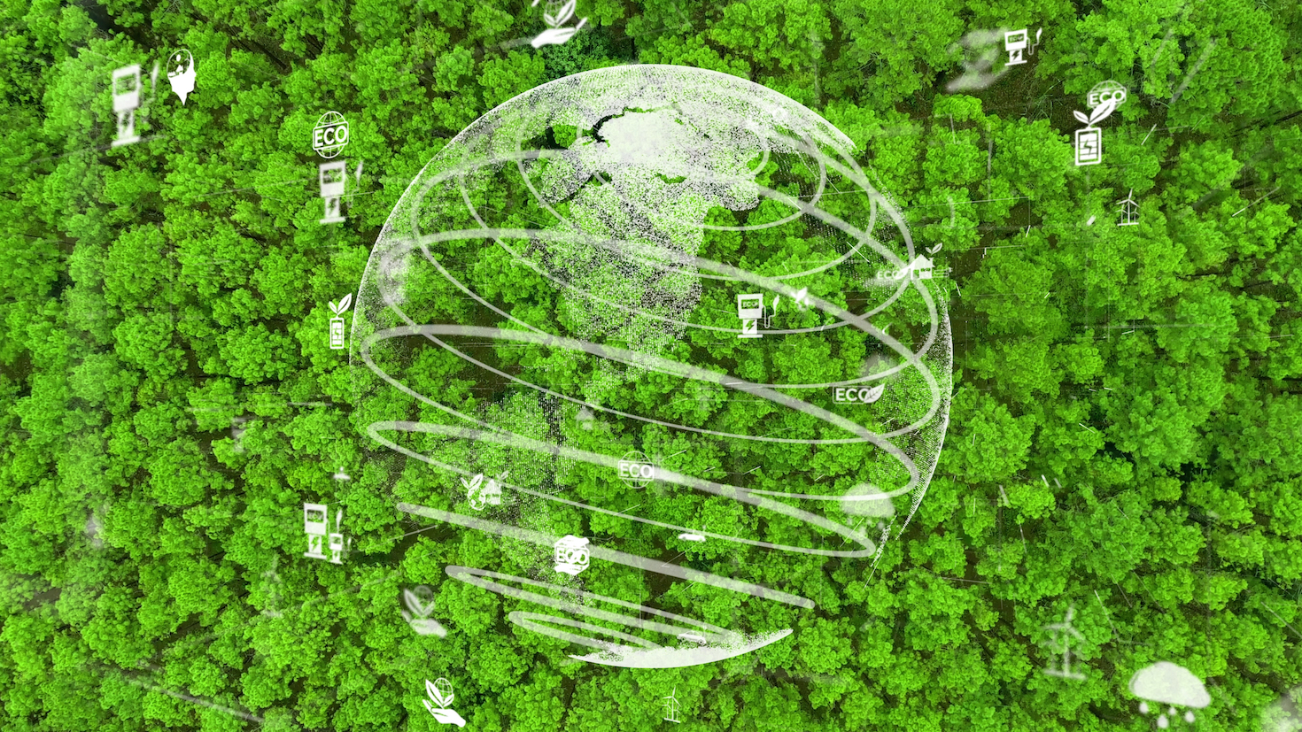 cheap-isn’t-always-a-bad-thing-when-it-comes-to-carbon-credits