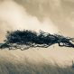 resilience-isn’t-a-rebrand.-it’s-what-sustainability-always-was