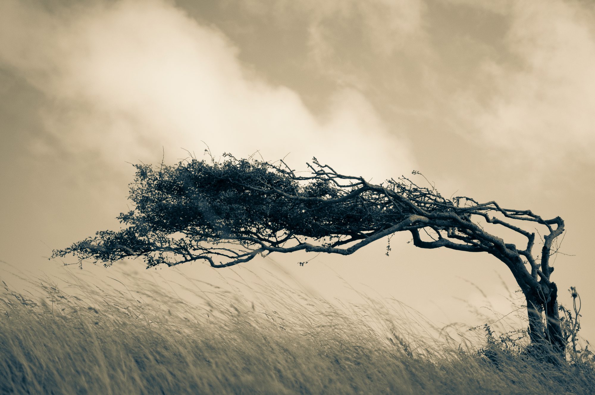 resilience-isn’t-a-rebrand.-it’s-what-sustainability-always-was
