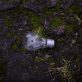 stopping-the-sustainability-brain-drain