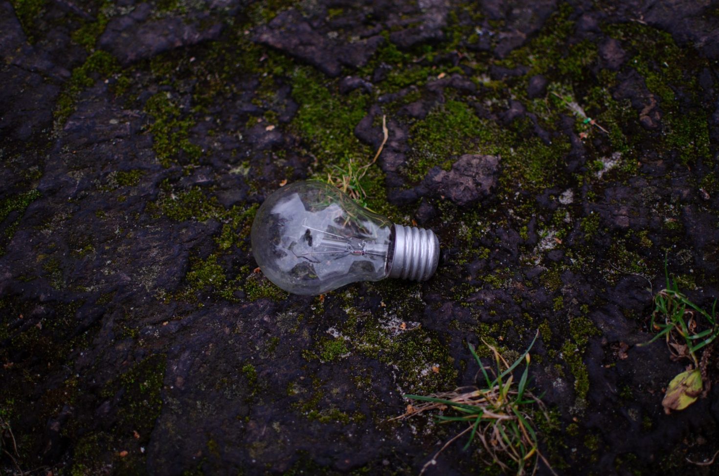 stopping-the-sustainability-brain-drain