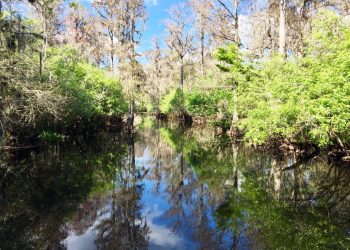 the-corporate-benefit-of-linking-water-risk-to-strategy