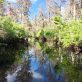 the-corporate-benefit-of-linking-water-risk-to-strategy
